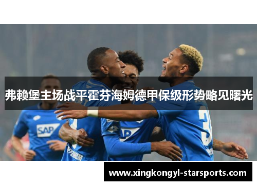 弗赖堡主场战平霍芬海姆德甲保级形势略见曙光
